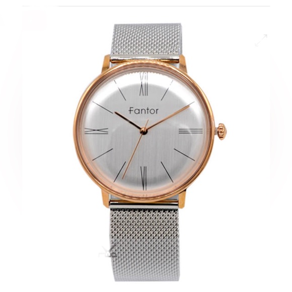 Designer - Fantor 10021 Mesh Chain Men’s Watch, Water Resistant - Picture 1 of 12